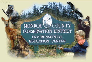 Monroe County Youth Conservation Group